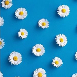 Meet your Posher, Florence